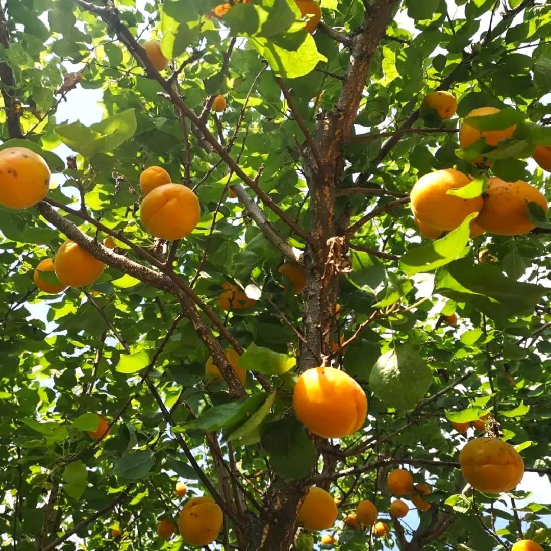 Domek Na Vinohradech Hlohovec Bagian luar foto